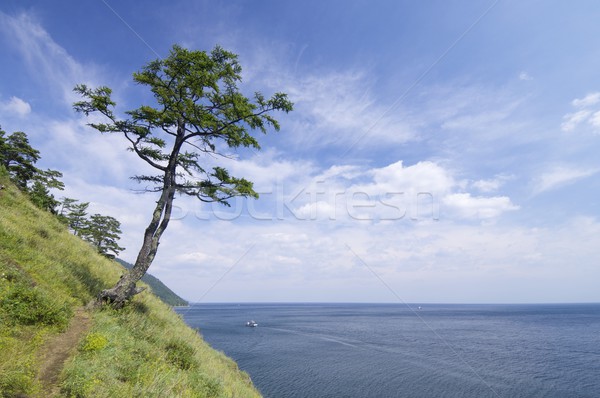 Lago costa cidade sibéria Rússia praia Foto stock © pedrosala