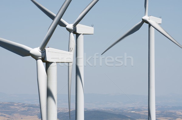 wind energy Stock photo © pedrosala