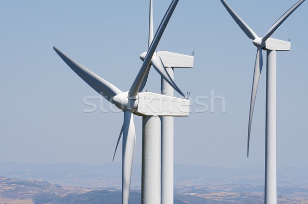 wind energy Stock photo © pedrosala