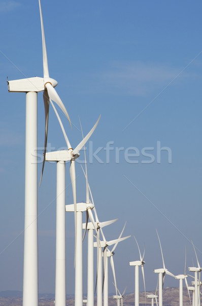 windmills Stock photo © pedrosala