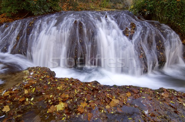 Waterfall Stock photo © pedrosala