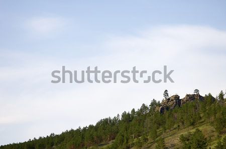 Mongolian landscape Stock photo © pedrosala