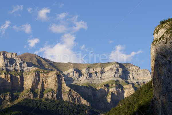 Pyrenees Stock photo © pedrosala