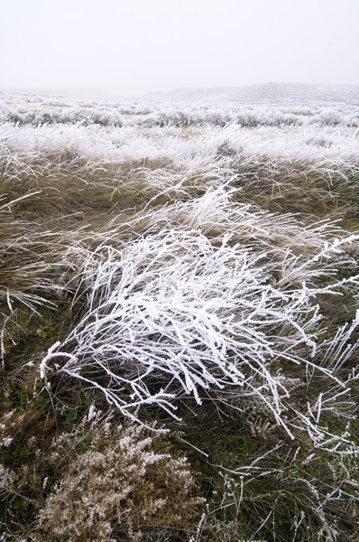 Fagyos tájkép textúra természet hó fehér Stock fotó © pedrosala