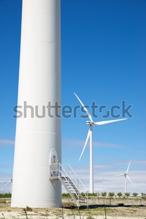 ветер энергии электрических власти производства области Сток-фото © pedrosala