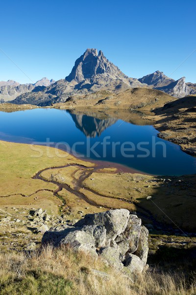 Pyrenees Stock photo © pedrosala