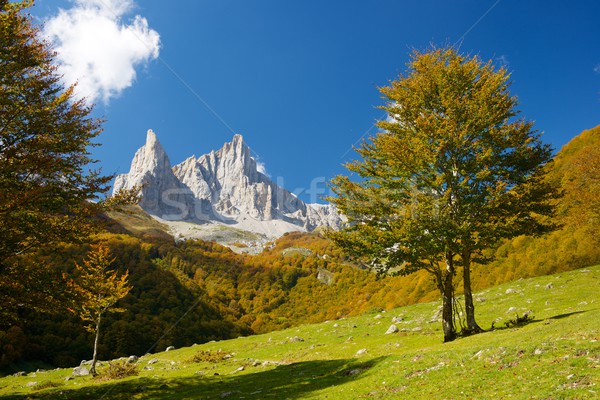 Pyrenees Stock photo © pedrosala