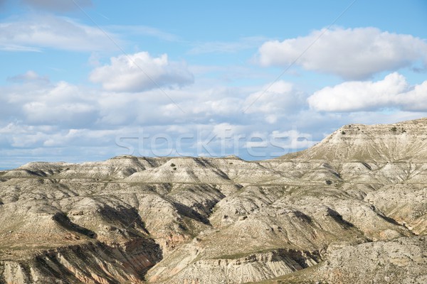 Arid landscape Stock photo © pedrosala