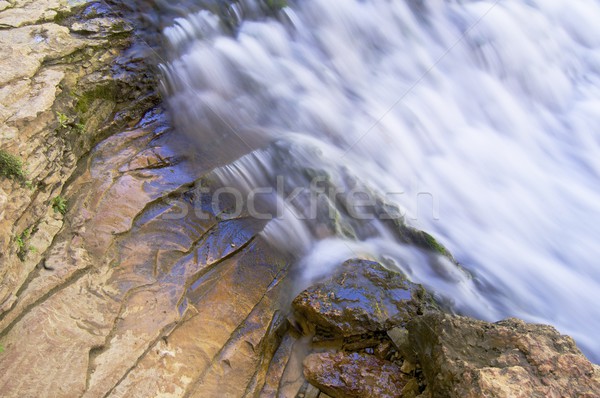 Wodospad urodzenia rzeki tekstury charakter liści Zdjęcia stock © pedrosala