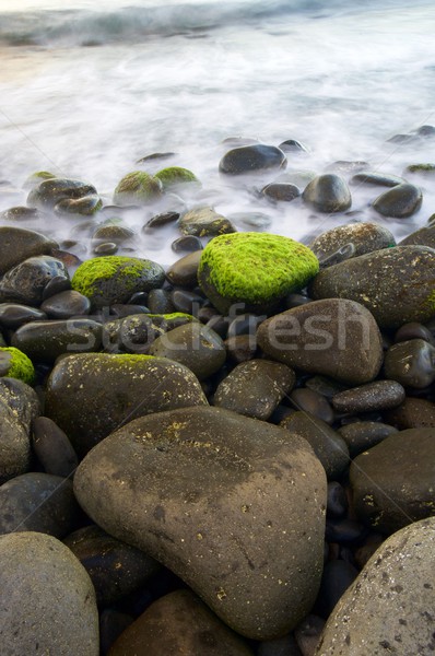 Madeira kilátás tengerpart Portugália tájkép tenger Stock fotó © pedrosala