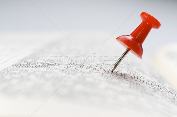 red thumbtack Stock photo © pedrosala