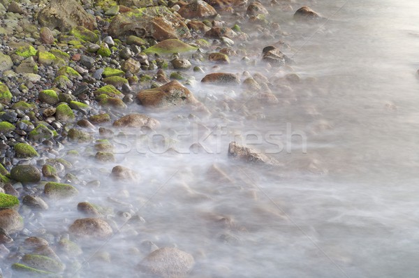 Kiesel Strand Insel Portugal Textur Stock foto © pedrosala