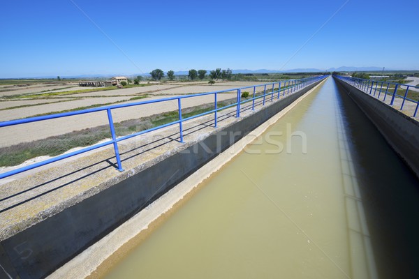 irrigation canal Stock photo © pedrosala