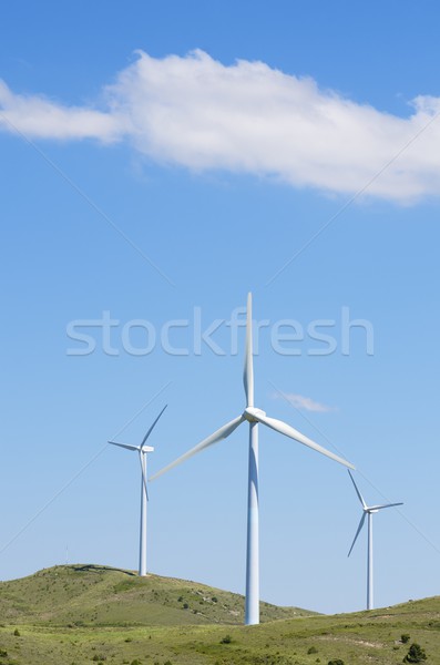 wind energy Stock photo © pedrosala