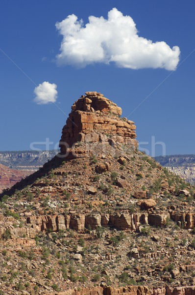 Grand Canyon park Arizona USA tájkép sivatag Stock fotó © pedrosala