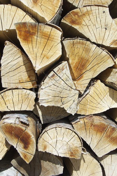 firewood Stock photo © pedrosala