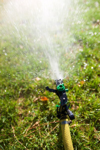 Sprinkler primo piano giardino primavera panorama Foto d'archivio © pedrosala