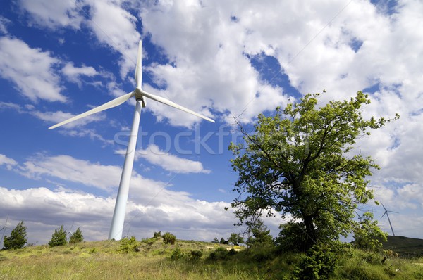 wind turbines Stock photo © pedrosala