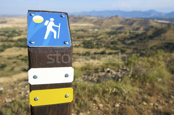 walking signal Stock photo © pedrosala