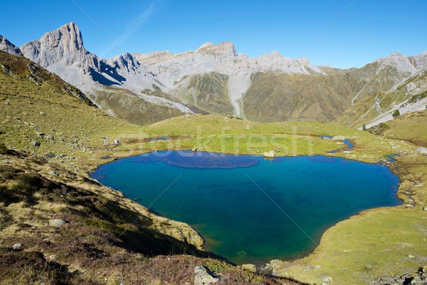 Pyrenees Stock photo © pedrosala