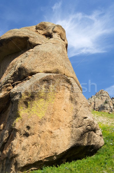 Mongolian landscape Stock photo © pedrosala