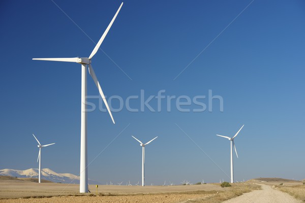Wind energy Stock photo © pedrosala
