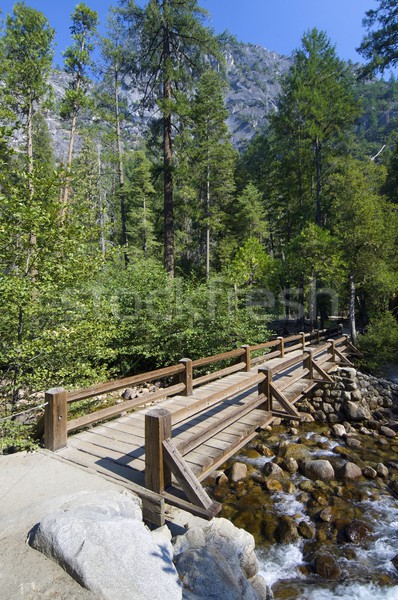 Yosemite Stock photo © pedrosala