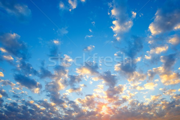 Hemelachtergrond hoog hemel detail wolken Stockfoto © pedrosala
