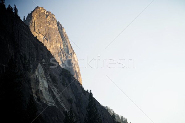 Yosemite National Park Stock photo © pedrosala