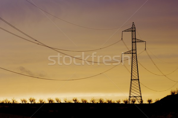 Pylon silhouette Stock photo © pedrosala