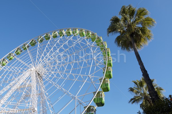 ferris wheel Stock photo © pedrosala