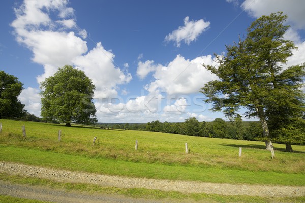 Normandy Stock photo © pedrosala