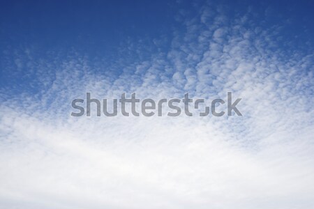 Cielo de fondo alto cielo detalle nubes Foto stock © pedrosala