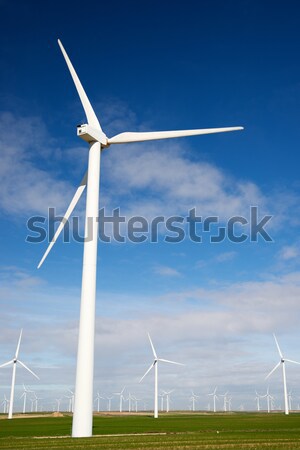 Wind energy Stock photo © pedrosala