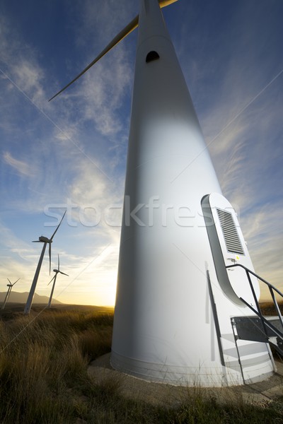 Vento energia elétrico poder produção pôr do sol Foto stock © pedrosala