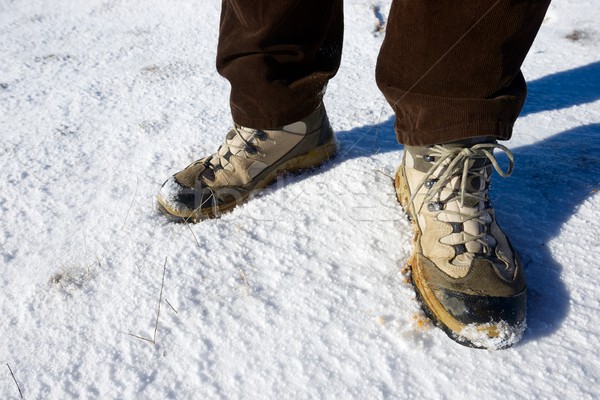 Hiking boots Stock photo © pedrosala