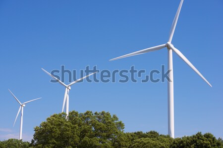 wind energy Stock photo © pedrosala