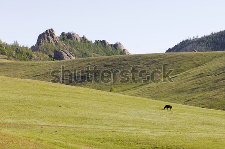 Mongolian landscape Stock photo © pedrosala