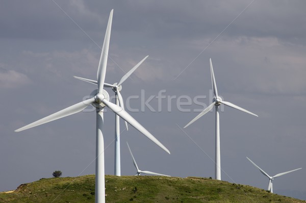 wind energy Stock photo © pedrosala