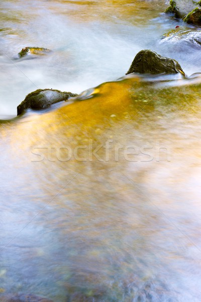 ручей шелковистый потока лес долины дерево Сток-фото © pedrosala