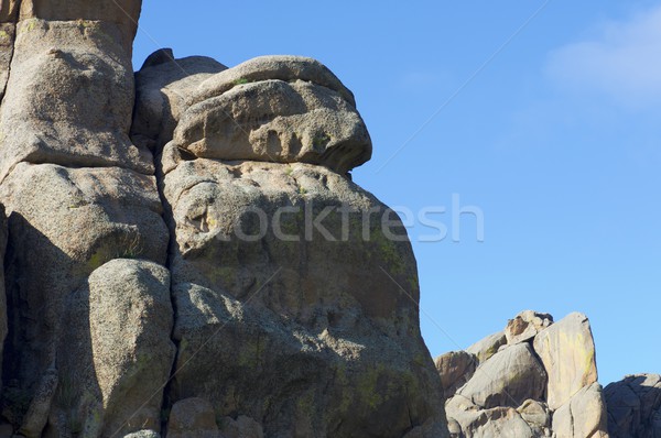 Mongolian landscape Stock photo © pedrosala