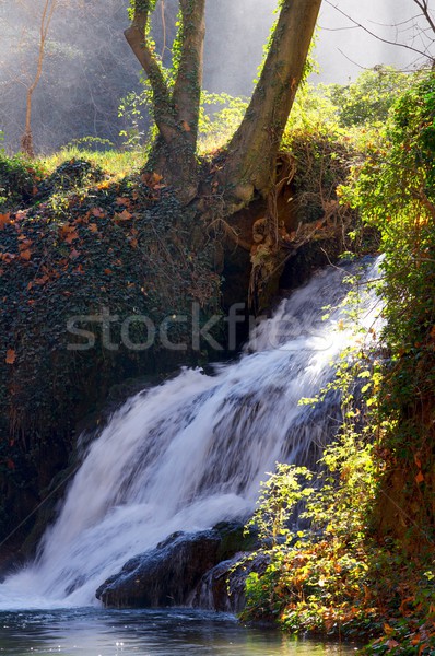 Waterfall Stock photo © pedrosala