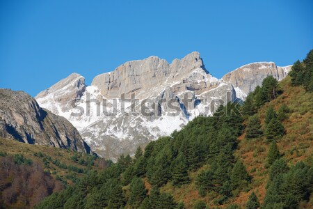 гор долины дерево природы пейзаж синий Сток-фото © pedrosala