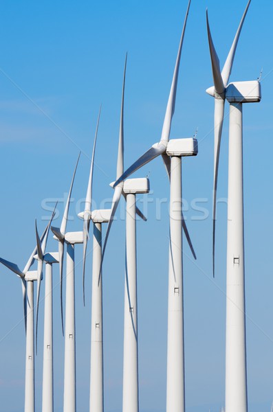 wind turbines Stock photo © pedrosala