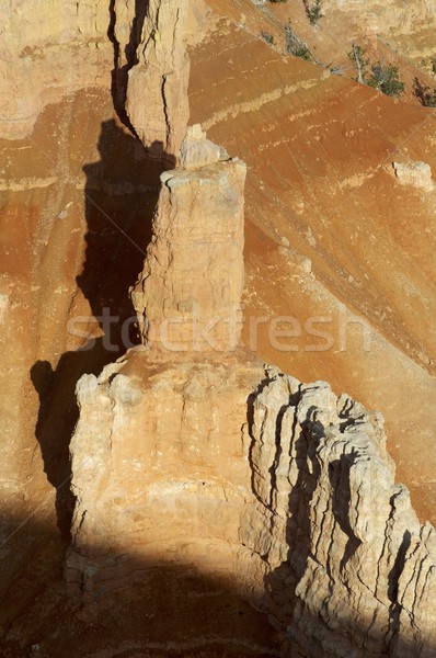 Cédrus tűk Utah USA tájkép park Stock fotó © pedrosala