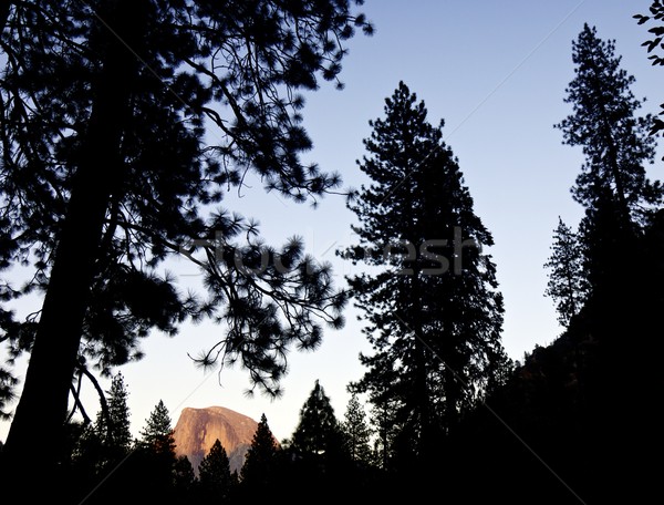 Fél kupola kilátás hegy Yosemite Nemzeti Park Kalifornia Stock fotó © pedrosala