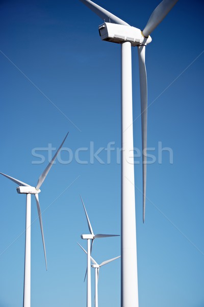 Wind energy Stock photo © pedrosala