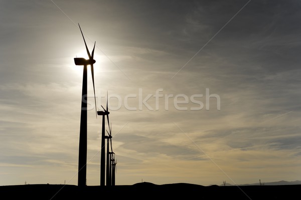 ветер энергии электрических власти производства закат Сток-фото © pedrosala