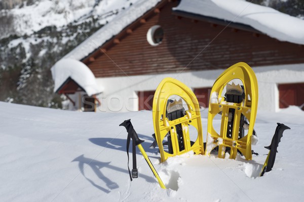 Stockfoto: Geel · vallei · zon · sneeuw · leuk · ski