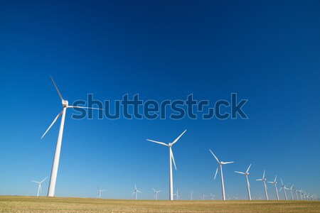 windmills Stock photo © pedrosala